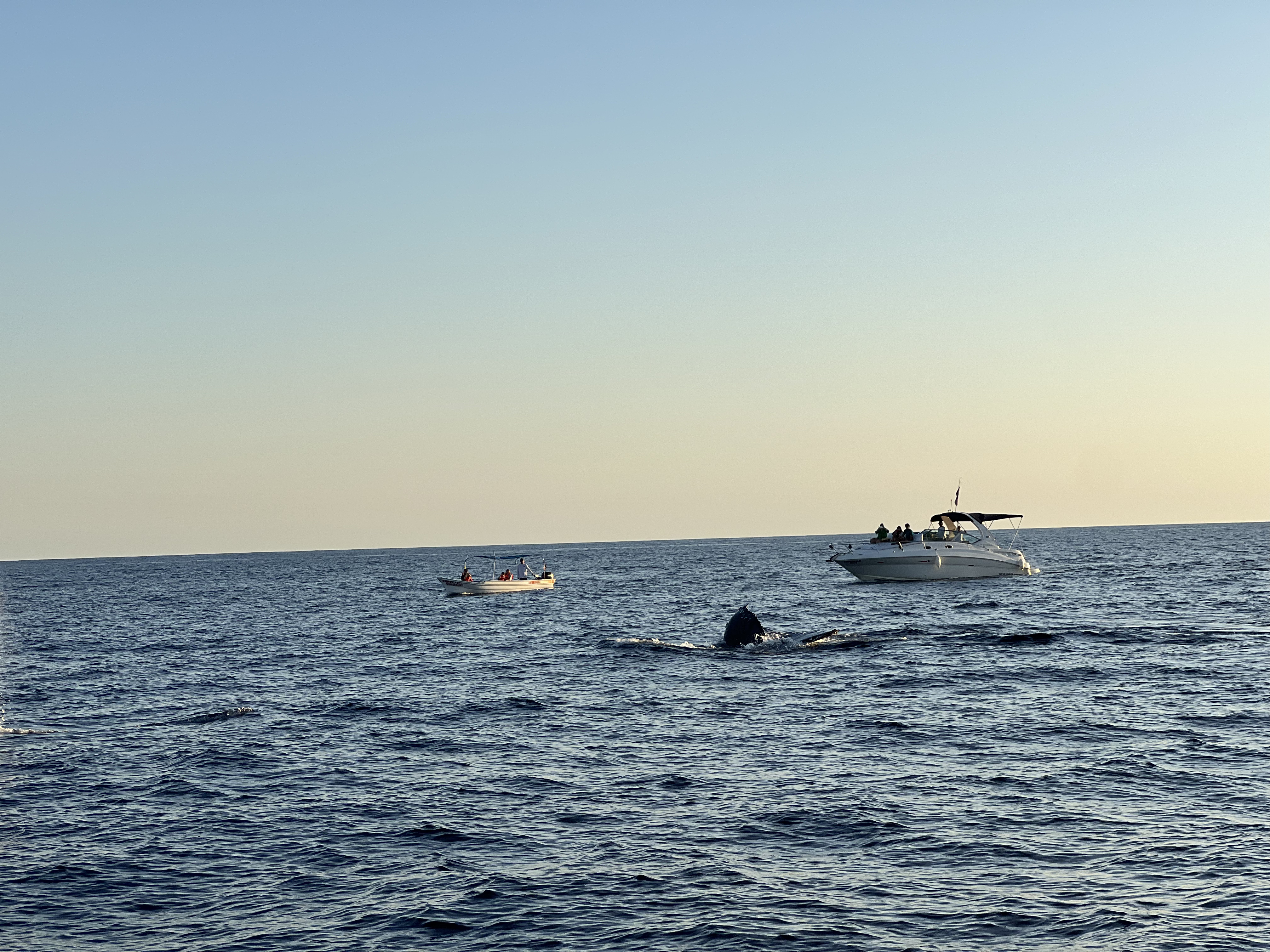 ./2024/13 - Cabo/IMG_4718.jpg